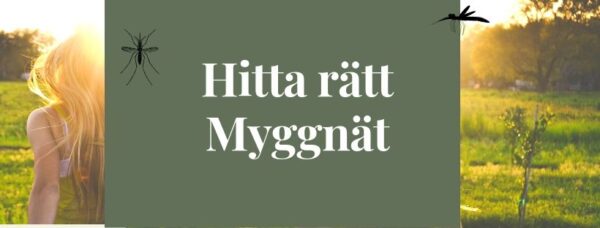 VÄLJ RÄTT MYGGNÄT TILL DÖRREN - Myggfälla
